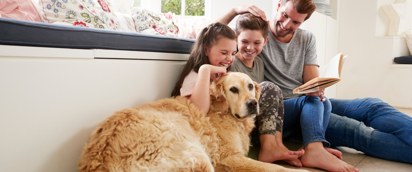 Seguros de Salud para mascotas