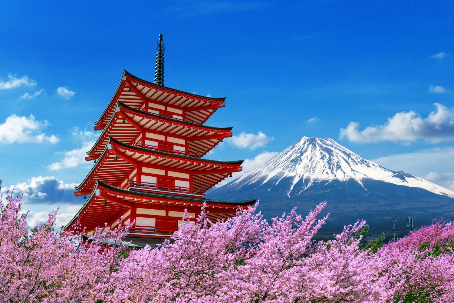 cerezos-flor-primavera-pagoda-chureito-montana-fuji-japon.jpg